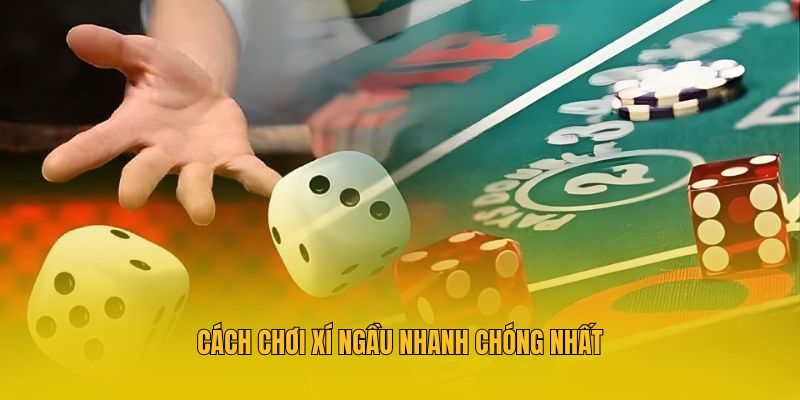 Cách chơi Xí ngầu nhanh chóng nhất